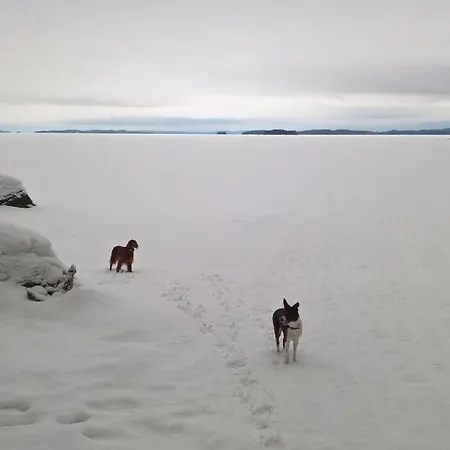 Jaenisvaara Alpstuga *