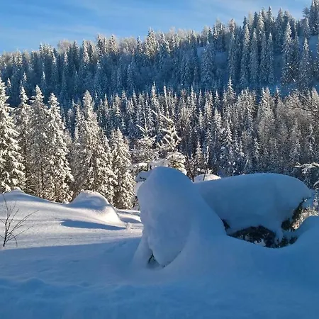 Jaenisvaara Kolinkylä