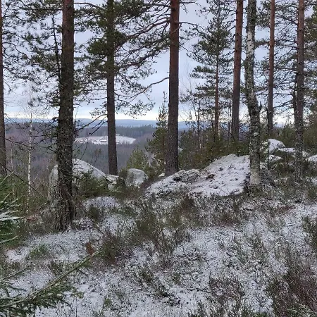 Jaenisvaara Alpstuga Kolinkylä