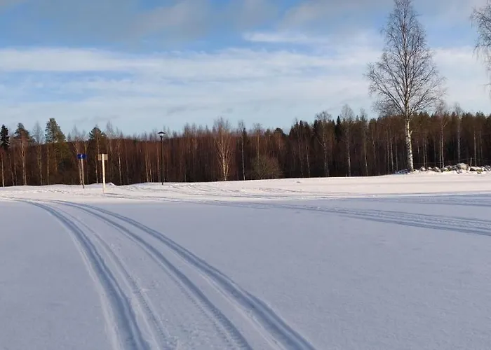 Jaenisvaara Chalet Kolinkylä