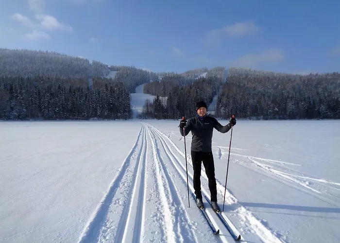 Chalet Jaenisvaara *