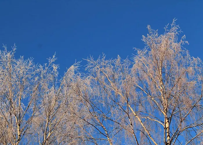 Jaenisvaara Chalet Kolinkylä