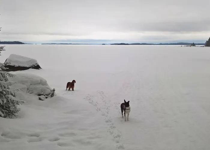 Jaenisvaara Chalet *