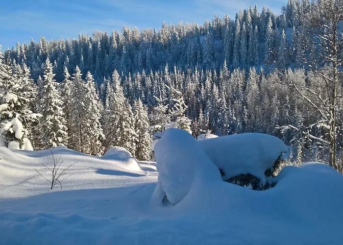 Jaenisvaara Kolinkylä