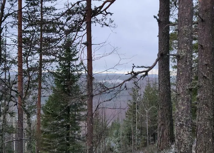 Jaenisvaara * Kolinkylä